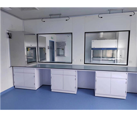 P2 laboratory