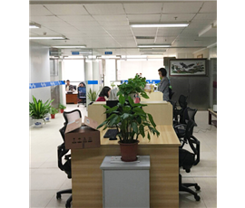 Shenzhen Company