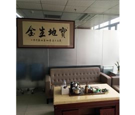 Shenzhen Company