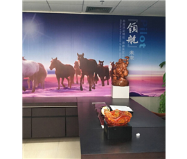 Shenzhen Company